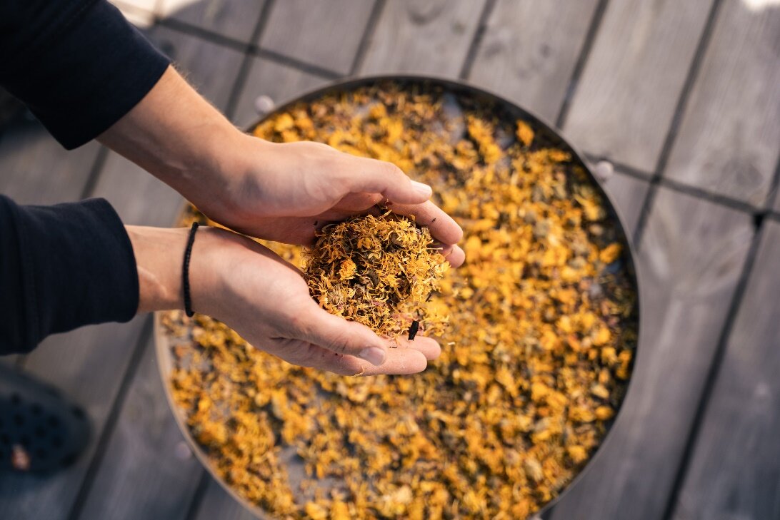 Zerkleinerte Bio-Kräuter für den Tinkturansatz