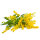 Goldrute Tinktur 50ml, Bio