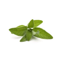 Manukahonig Kr&auml;utersirup 125ml - MGO: 300