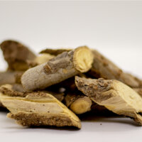 Cryptolepis &amp; Wermut Tinktur 50ml