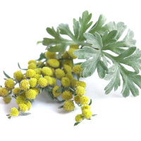 Borre Kombi 3: 2 Monatskur 100 ml