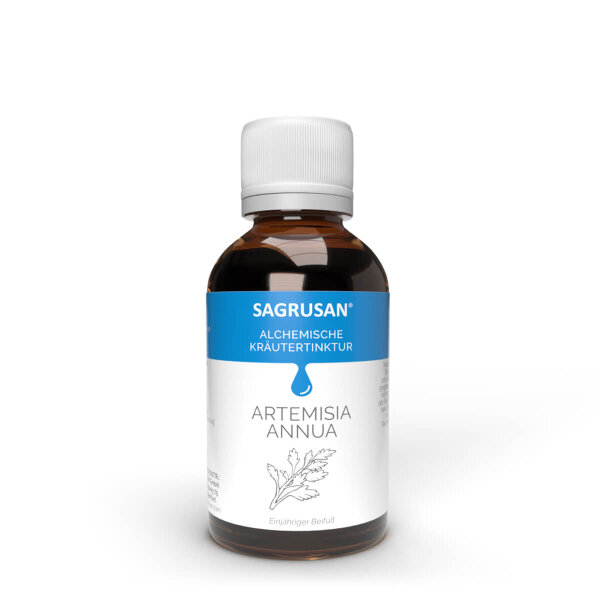 Artemisia annua Tinktur 50ml