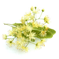 Fibasan Tinktur 100ml