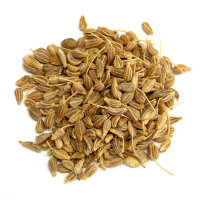 Flora gut, alles gut 100ml