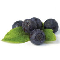 Nimmer S&uuml;&szlig; Tinktur 100ml