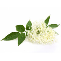 M&auml;des&uuml;&szlig; Tinktur 100ml, Bio