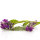 Beinwell Tinktur 50ml