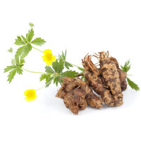 Mundpflege Tinktur 50ml