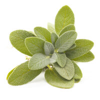 Mundpflege Tinktur 50ml