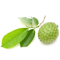 Graviola Tinktur 50/100 ml