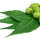 Tintura de neem, 100 ml