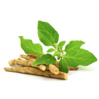 Ashwagandha Tinktur 100ml, Bio