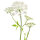 Bewegings-Combinatie 2: 1 maand, BIO