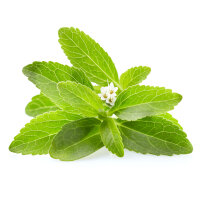 Artemisia-annua mit frischen Stevia Bl&auml;ttern 50/100 ml