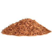 Katzenkralle Tinktur 50ml Spr&uuml;her