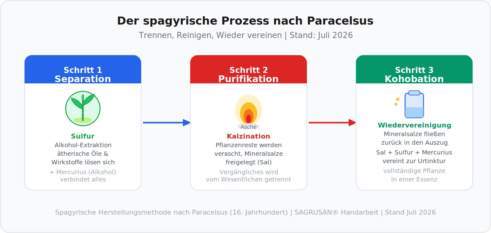 Spagyrischer Prozess nach Paracelsus